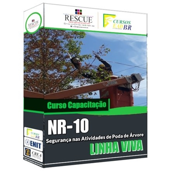 Capacitação NR 10 Segurança nas Atividades de Poda de Árvores em Linha Viva