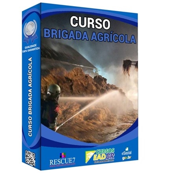 Cursos EaD BR