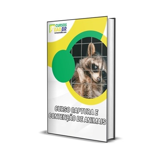 Cursos EaD BR