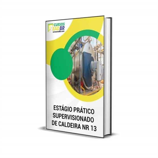 Estágio Prático Supervisionado de Caldeira NR 13 | 9037