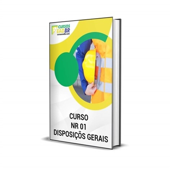 Curso NR 01 Disposições Gerais | 10520