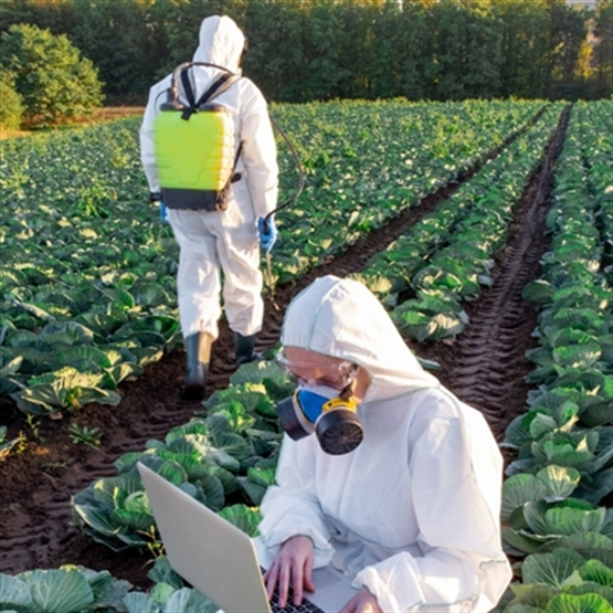 Treinamento Sobre Prevenção De Acidentes Com Agrotóxicos